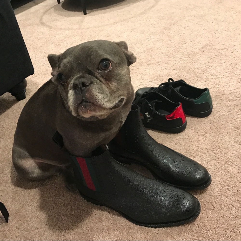 Meet your Posher, Mariya